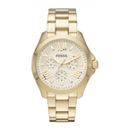 Дамски часовник Fossil Cecile AM4510