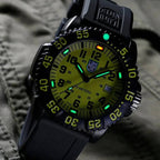 Мъжки часовник Luminox Sea Lion CARBONOX™ X2.2055.1